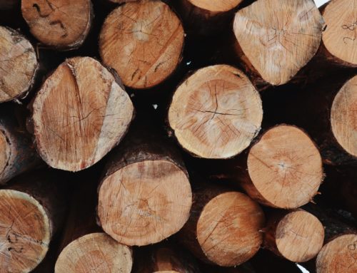 Iniciatíva pre moderné drevostavby podporuje drevo ako udržateľnú surovinu v stavebníctve